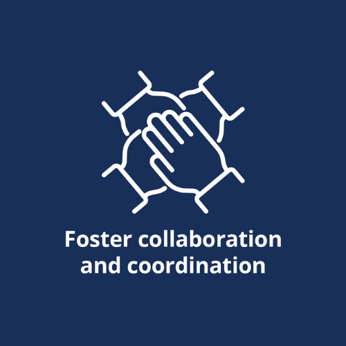 Foster collaboration and coordination - mental health service reform objective
